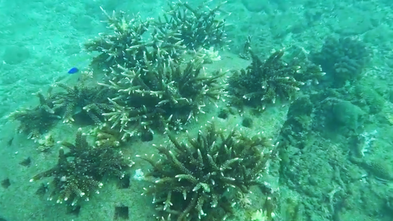 亚龙湾2