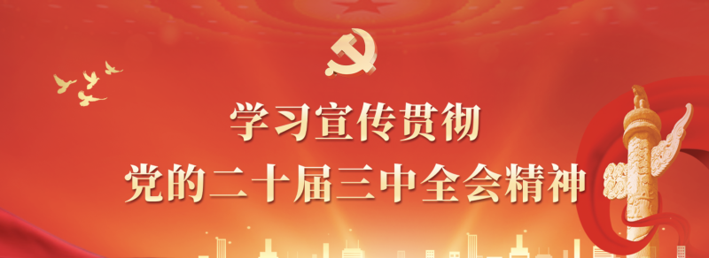 学习宣传贯彻党的二十届三中全会精神